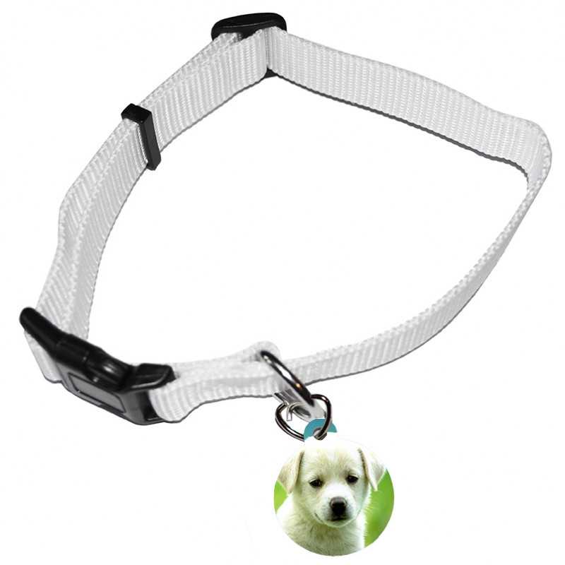 GUINZAGLIO COLLARE CON MEDAGLIETTA CANE GATTO CIONDOLO GUINZAGLIO COLLARE CON MEDAGLIETTA CANE GATTO CIONDOLO